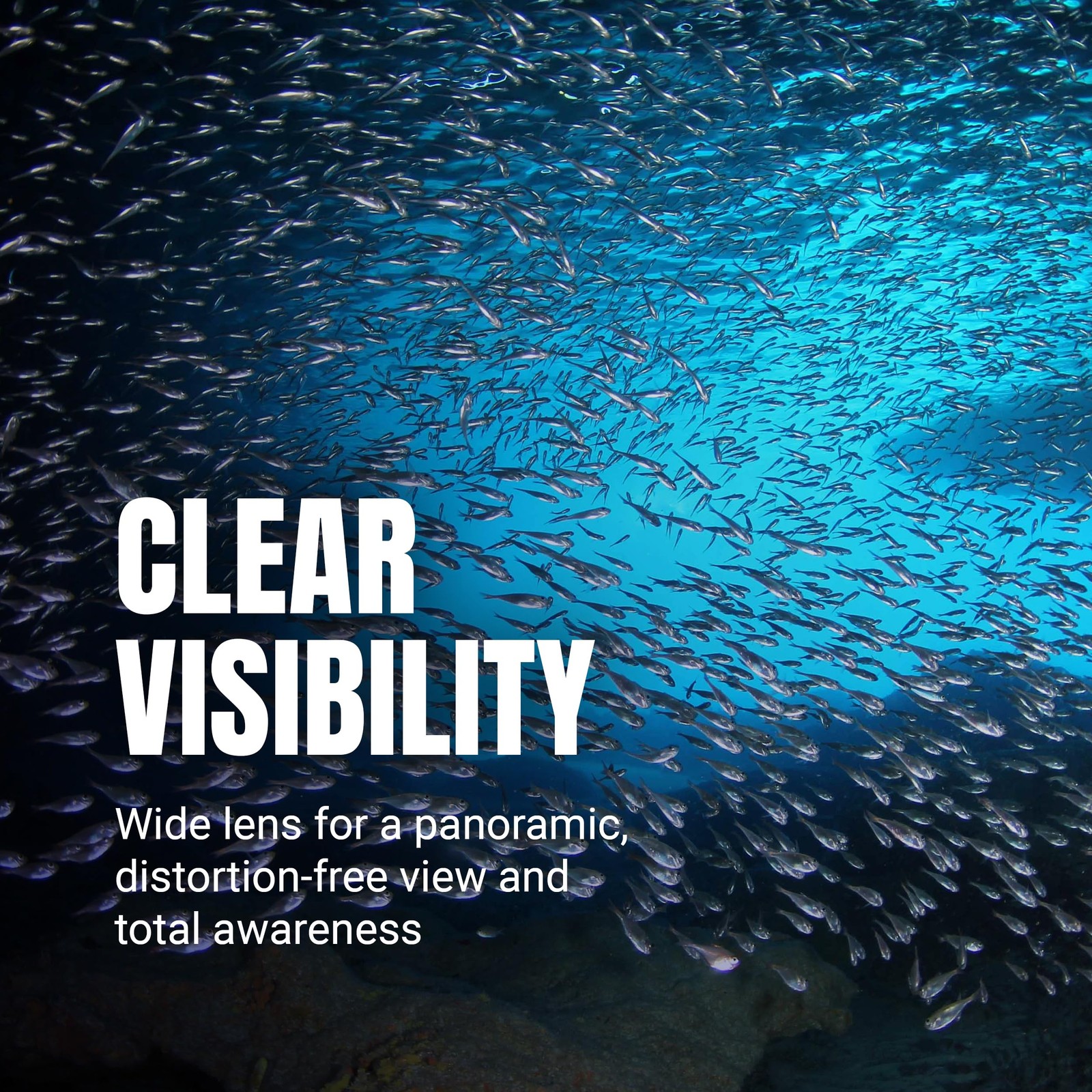 Spartacus Frameless Dive , Ultra-Clear Low-Iron Glass, Wide View, Low Volume,…