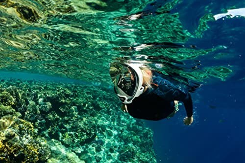 Ocean Reef Aria QR Full Face Snorkeling Mask 180 Degree Vision