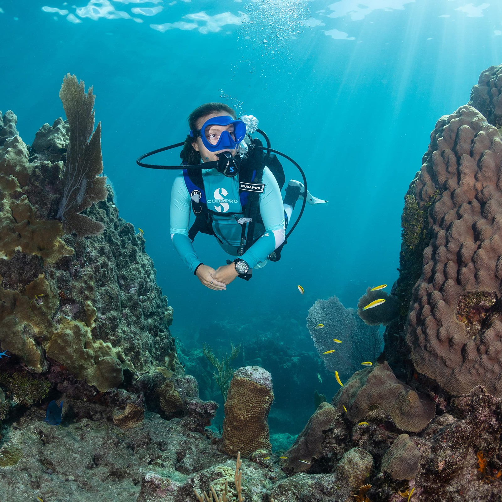 Trinidad 3 Diving (Blue)