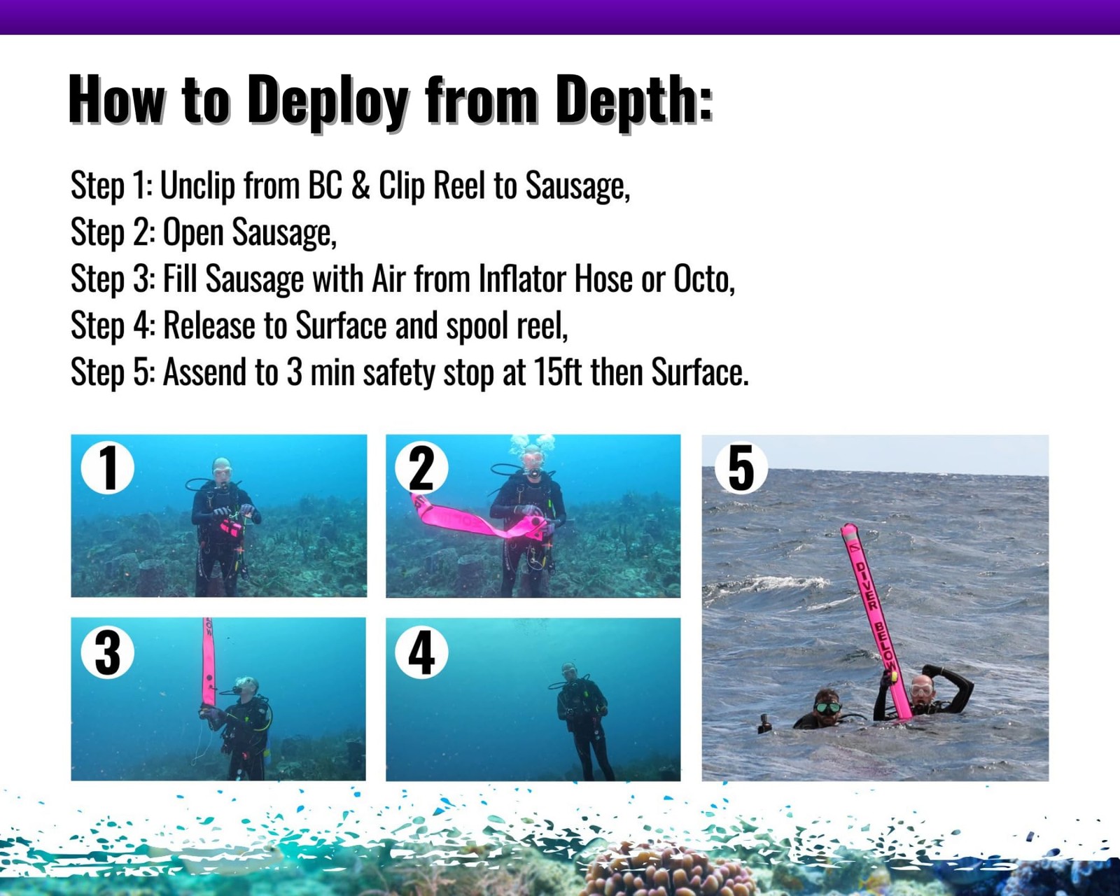 3 Piece Set = 6ft (1.83M) Safety Sausage (SMB) + 4″ SS Clip + 100ft (30M) Fin…