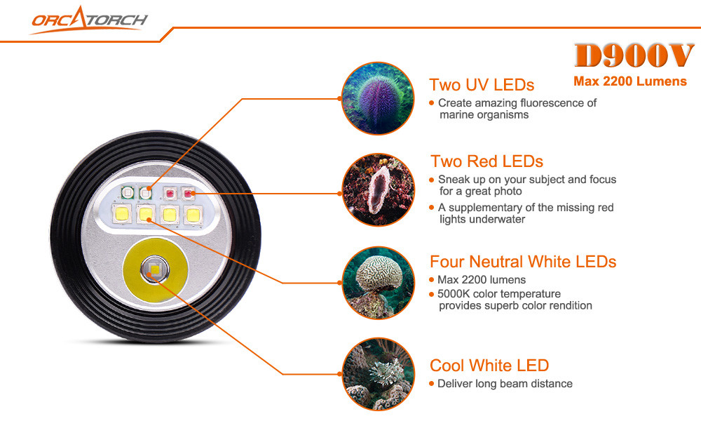 Orca D900V Video & Dive Light Magnetic Rechargable