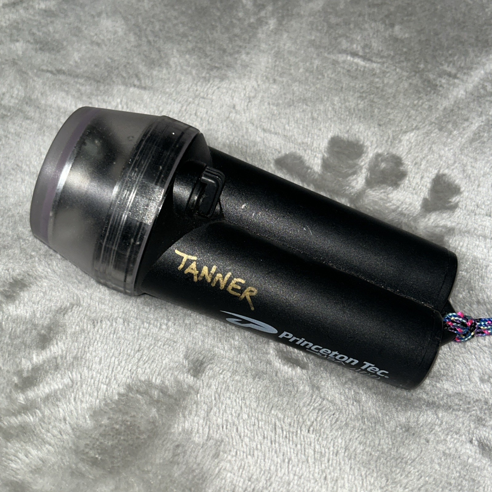 Princeton Tec 400 Dive Light Black For Parts Untested