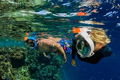 Ocean Reef Aria QR Full Face Snorkeling Mask 180 Degree Vision