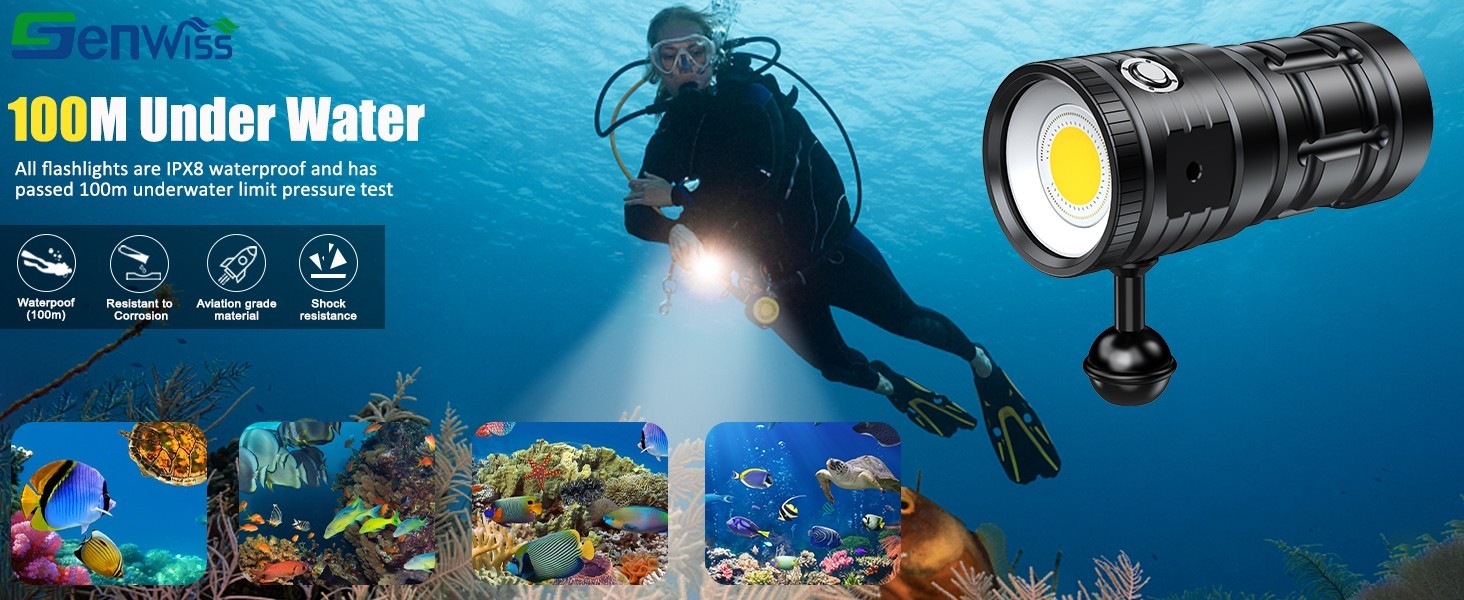 LARGE Scuba Diving LED Light Flashlight 4500 Lumens 100M Rechargeable Underwater