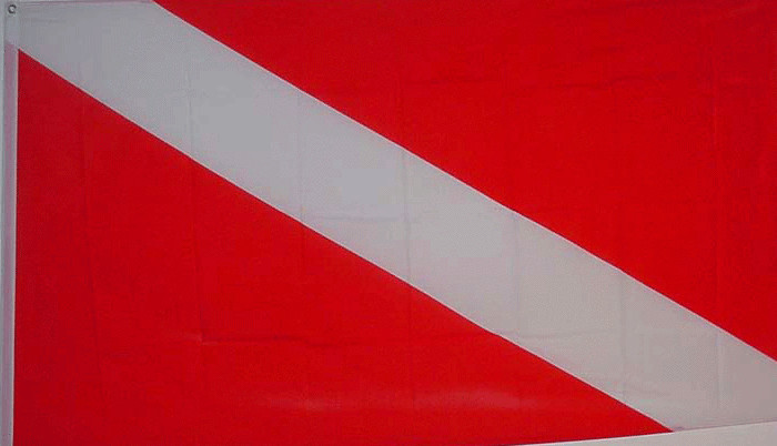 NEW 2x3ft DIVER DOWN SCUBA DIVING DIVE MARKER BETTER QUALITY FLAG usa seller
