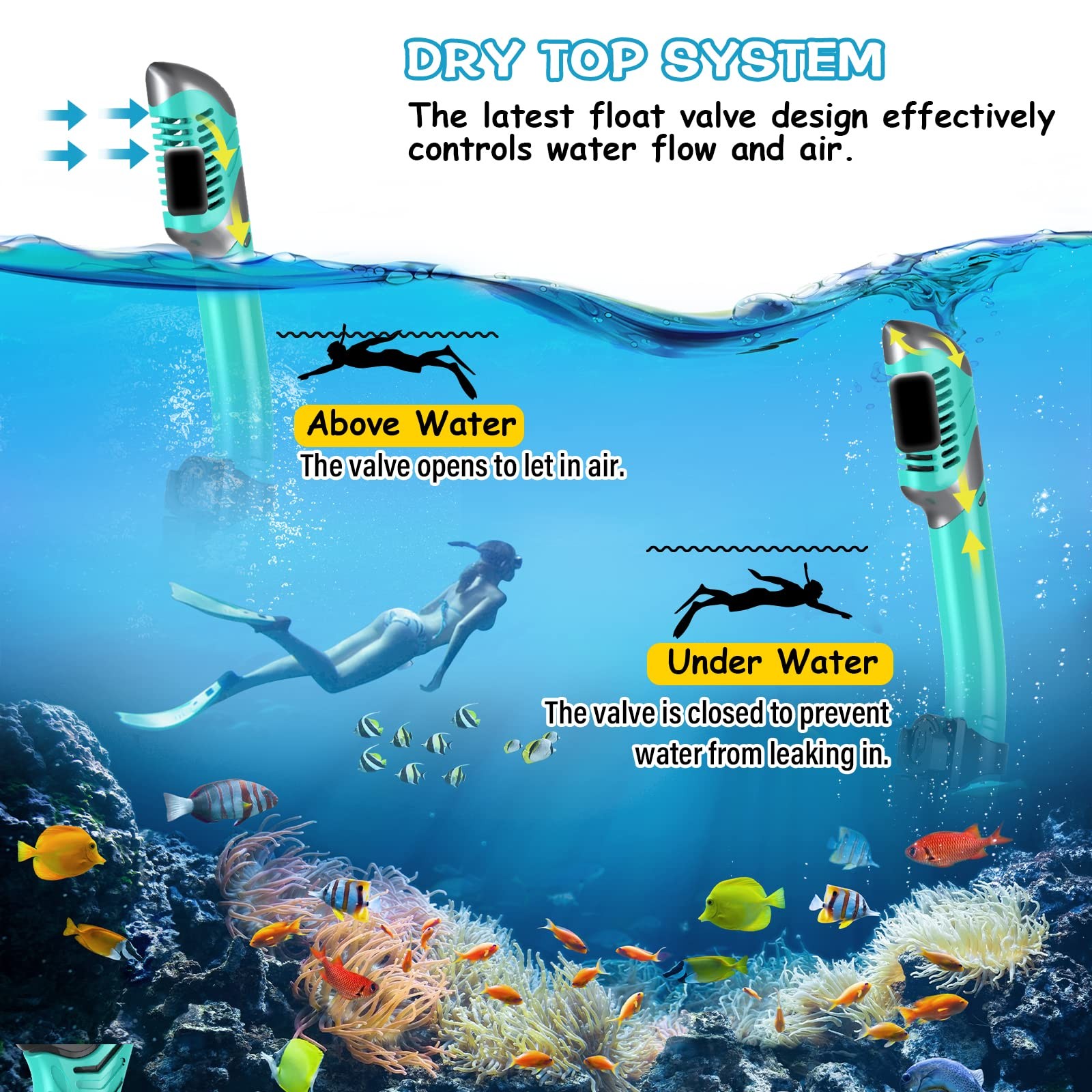 Set De Esnorkel Con Mascara Panoramica Antifog Para Adultos Estilo De Lujo