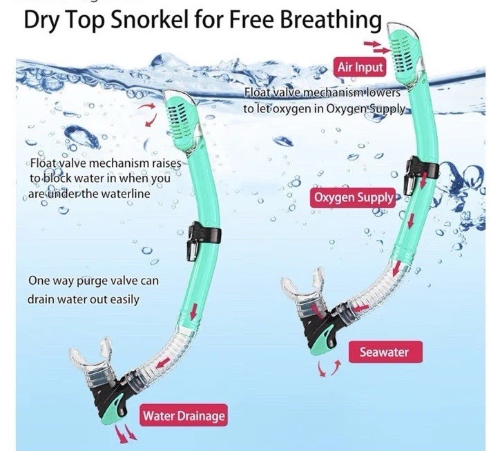 Snorkeling Gear for Adults with Fins Scuba Diving Gear Adult Professional Travel