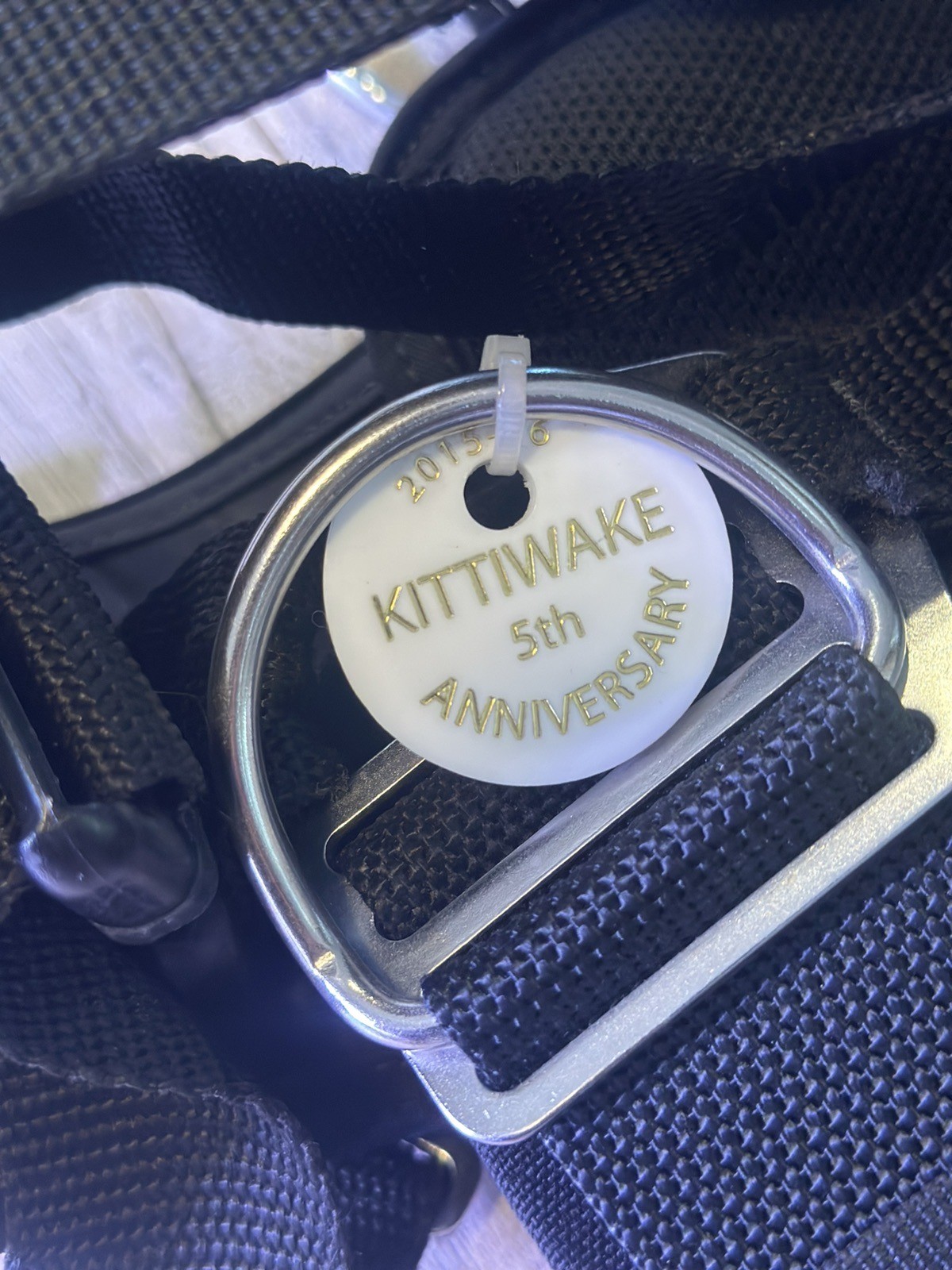 Dive Rite Transpac XT Harness, Gently Used. Size 17” Medium (T3300 Soft Pack)