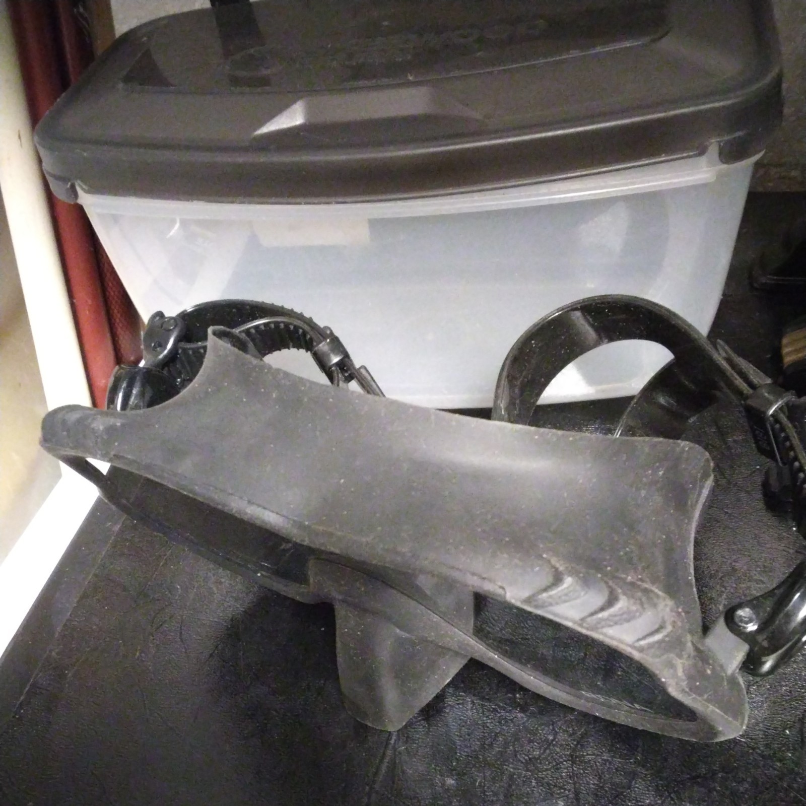 Sherwood Rona Dive Mask