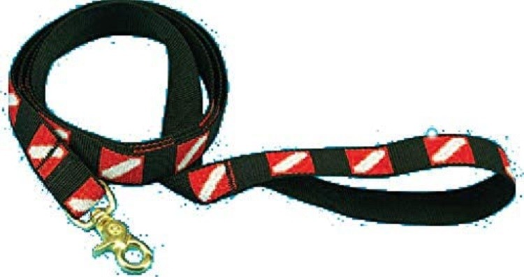 Trident 54″ Medium Dive Flag Dog Leash