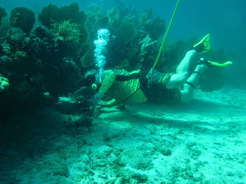 Hookah diving 25′ Stamped Air breathing 3/8id hose with quick connects MADE USA