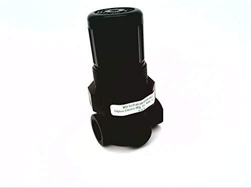 SPEEDAIRE 4ZM08 15 CFM MAX. Flow 1/4 ICH General Purpose 0-300 PSIG Regulator