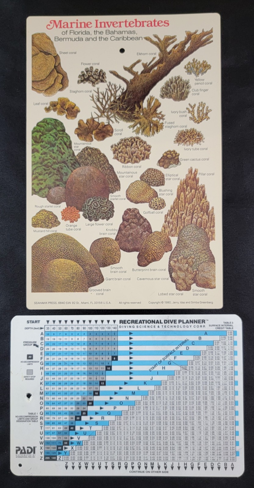 Vintage Lot of 2 Marine Invertebrates Florida Bahamas Chart & PADI Dive Planner
