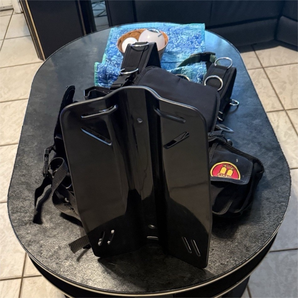 OMS Scuba Diving carbon fiber plate & Wing Harness BCD Setup, Size Large, Used