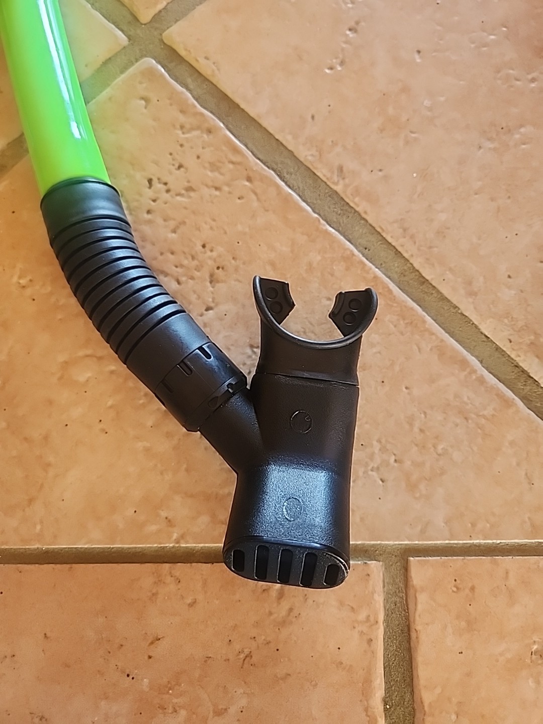 SEA QUEST SNORKEL ONLY