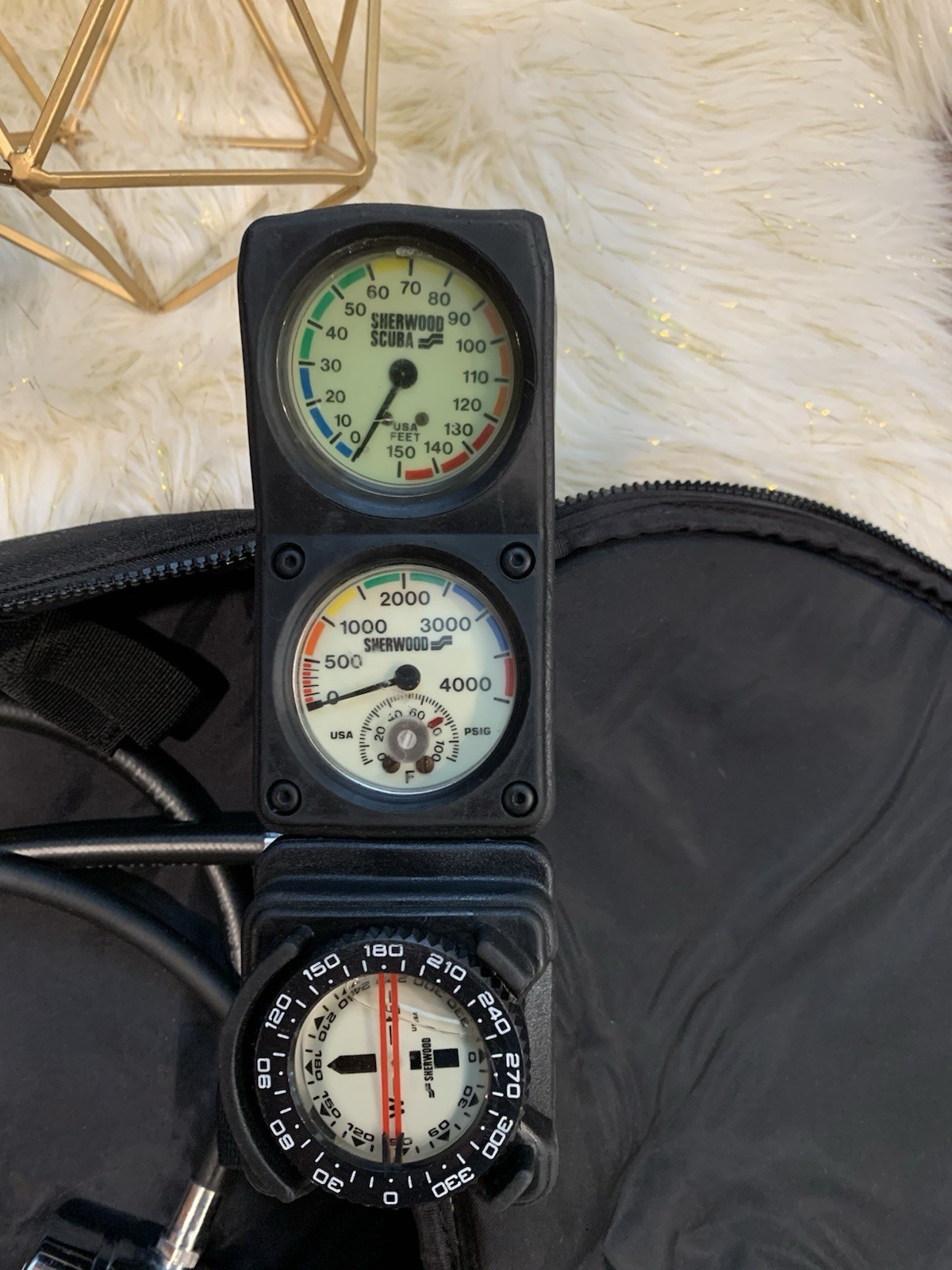 Sea Quest Yoke First Stage, Sea Quest Mirage Regulator, Sherwood Console, & Bags