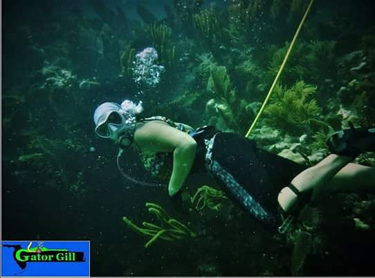 Hookah Diving 2 diver 75′ Hose package/5 Micron filter. Just add a COMPRESSOR