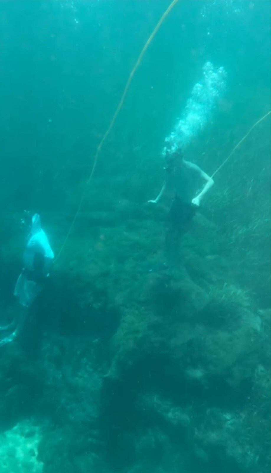 Hookah Diving 2 diver 75′ Hose package/5 Micron filter. Just add a COMPRESSOR