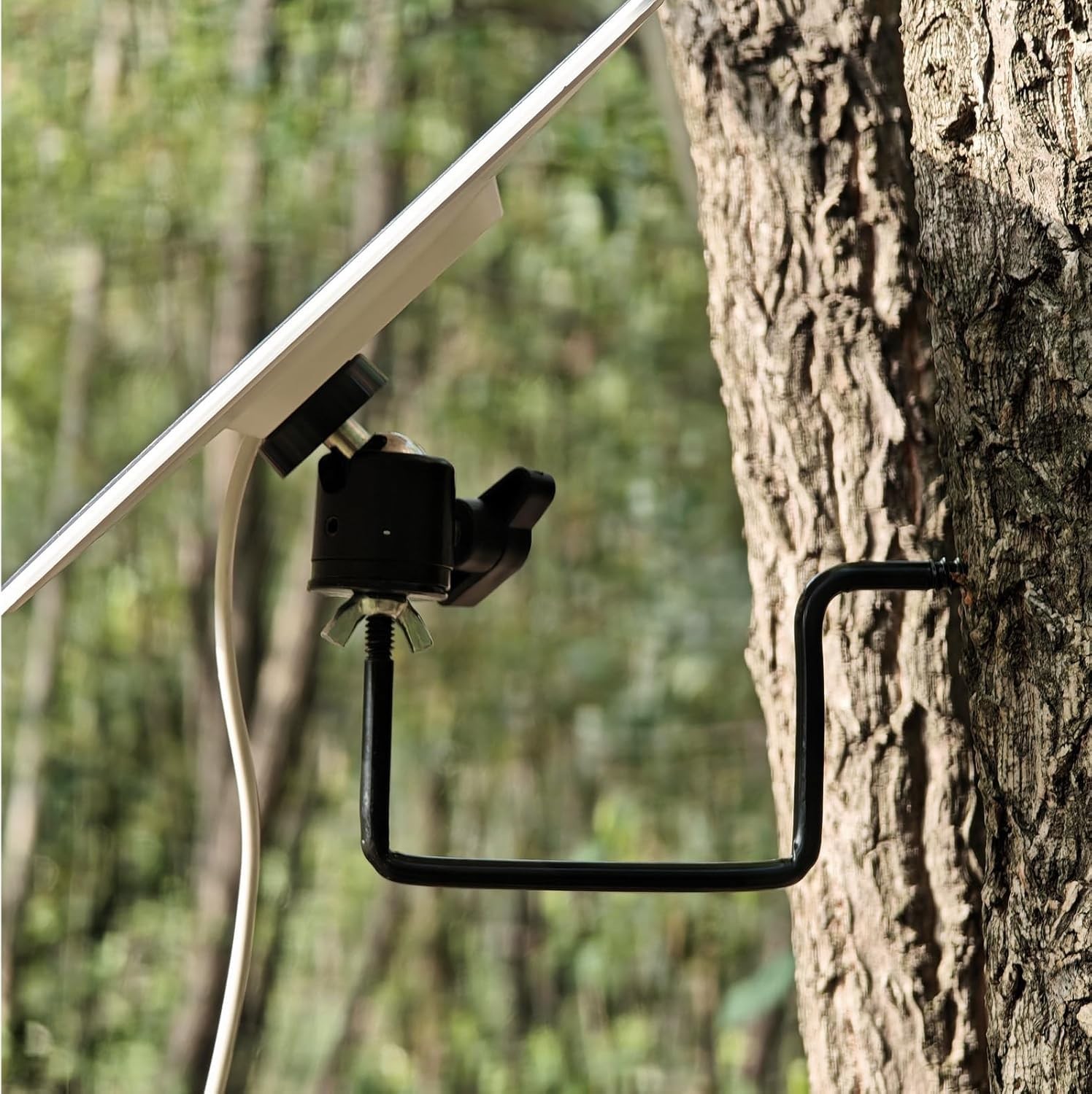 BeIETree Trail Camera Mount Game 7 x 6 x 1.2 inches, Black