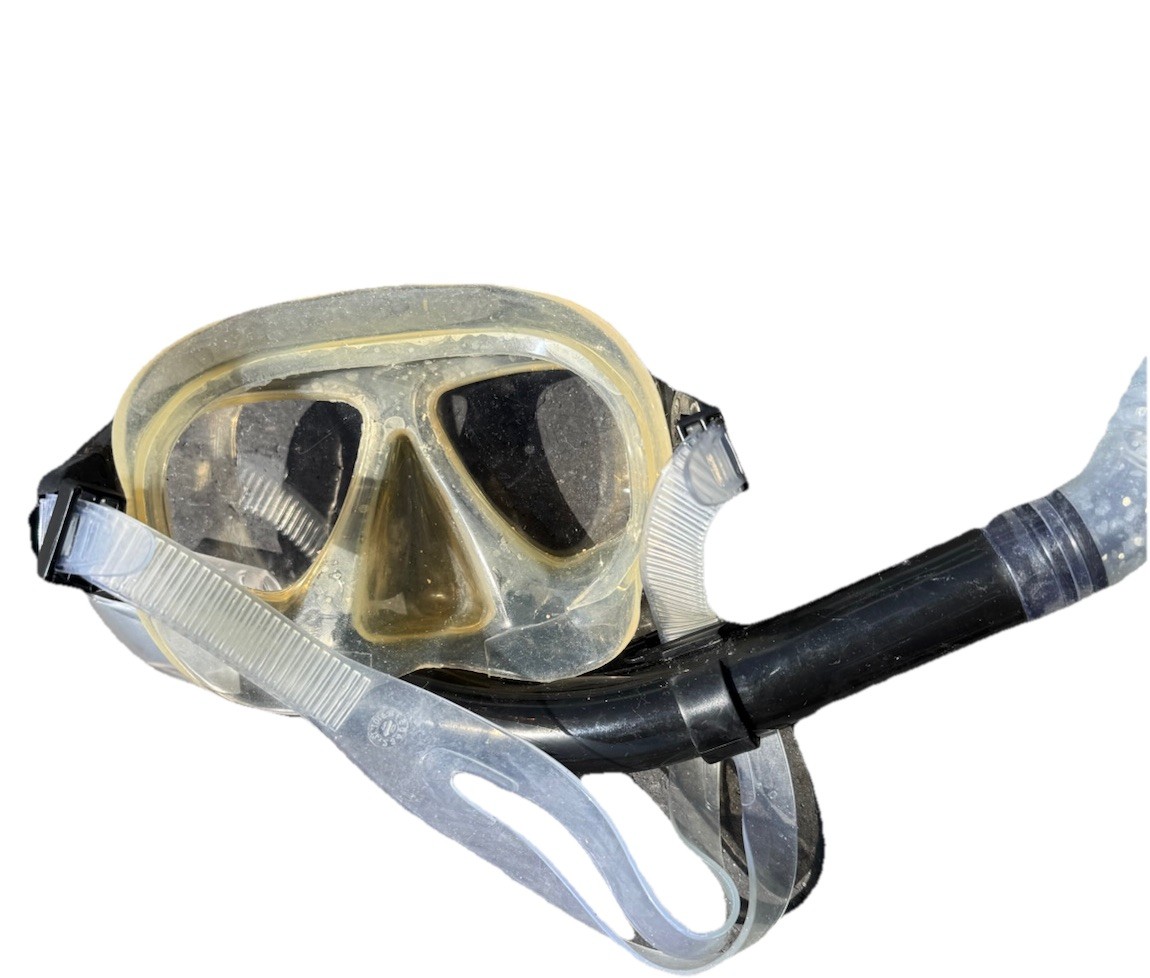 Speedo Dive Unisex – Adult Swim Snorkel Mask
