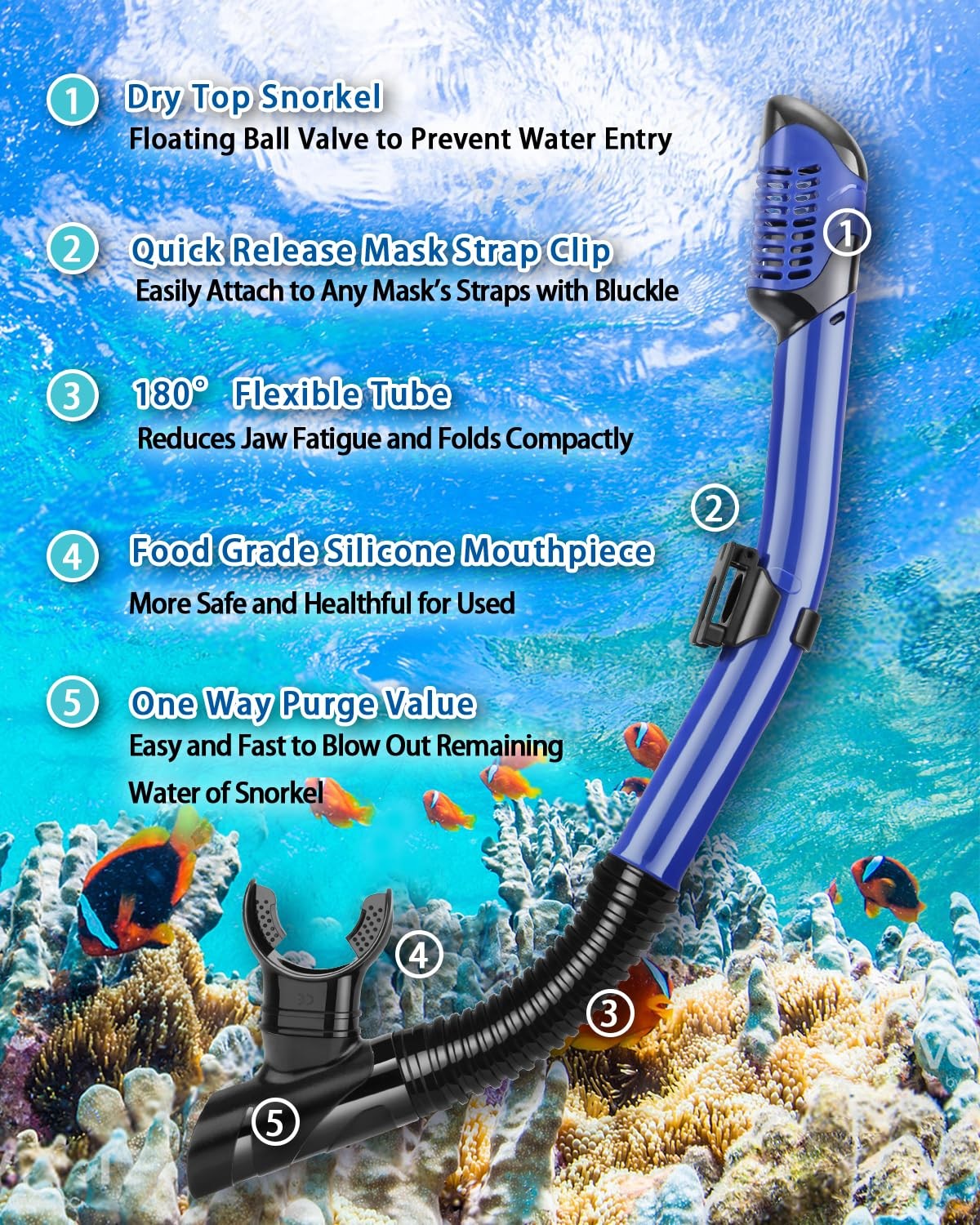 PIYAZI Snorkeling Gear for Adults, 4 in 1 Adult Snorkel Set with 36-41, Blue