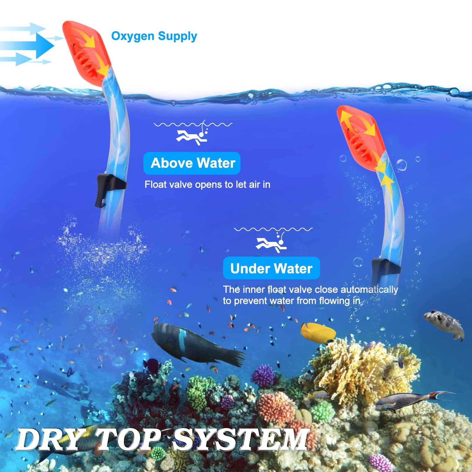 2 Sets Snorkeling Gear for Kids, Kids Snorkel Z-2Set(Blue yellow+Blue blue)