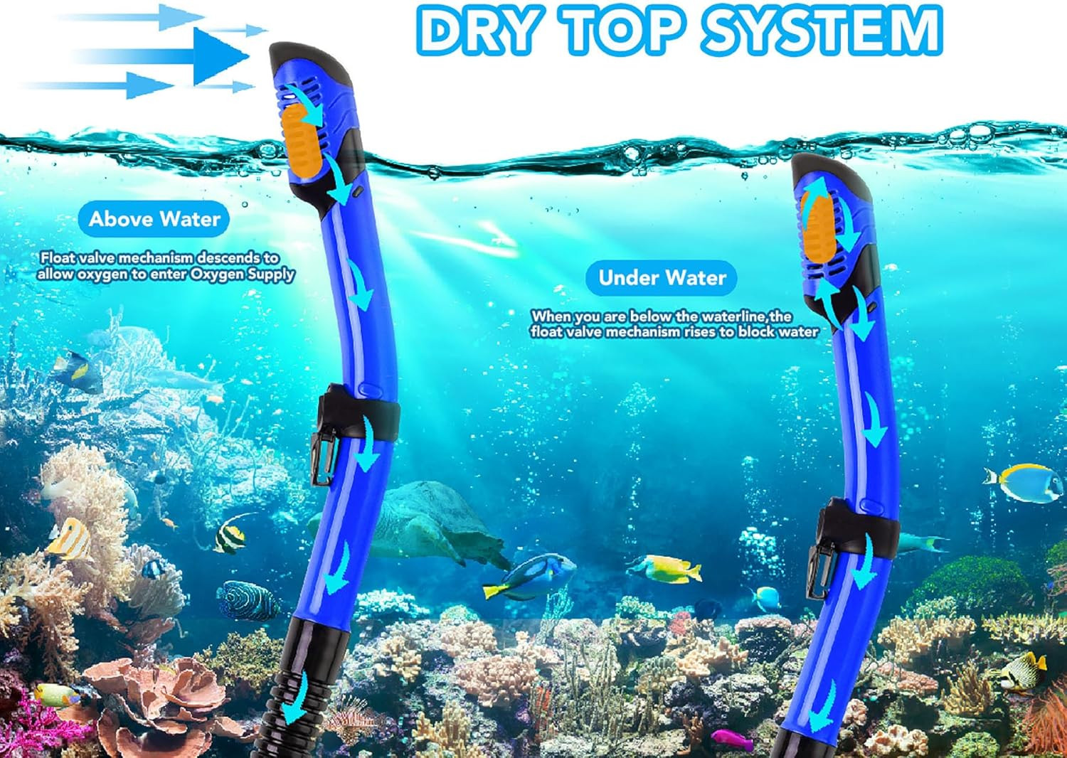 Snorkeling Gear for Adults with Fins Scuba Diving Gear Adult Professional Travel