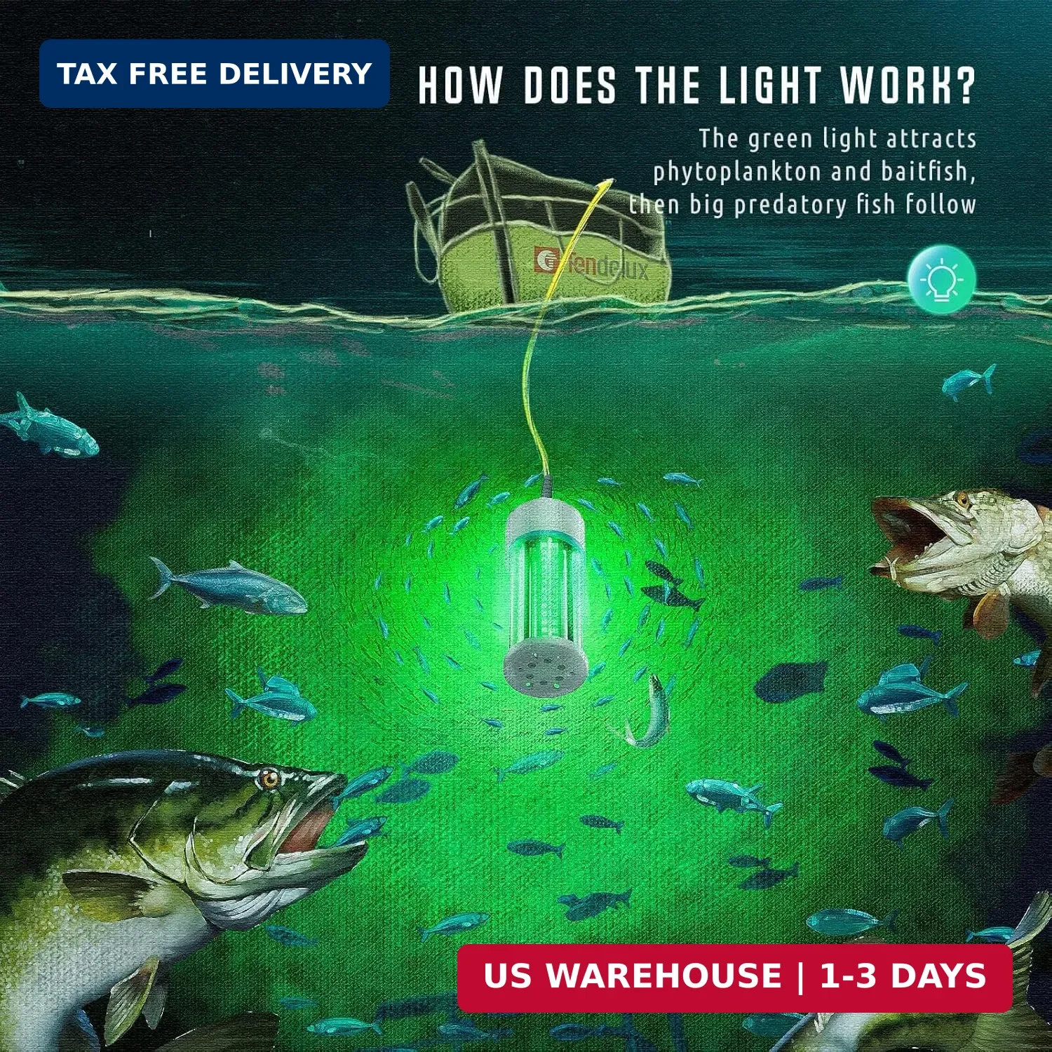 Underwater Fishing Light, 110V & 12V Super Bright Green LED Submersible Light At